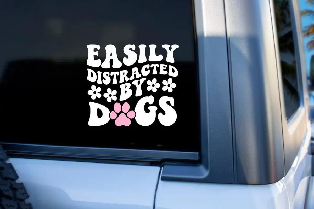 car decal vinyl stickers printing china manufacturer