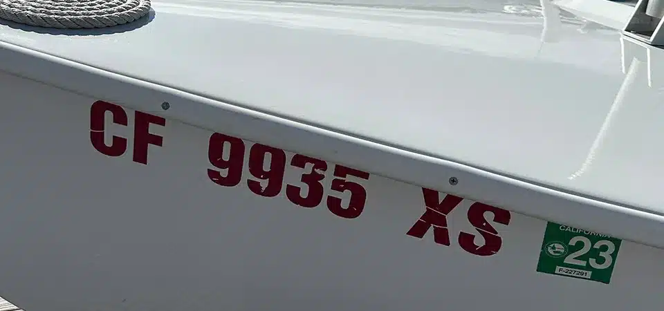 A comparison showing die-cut vinyl letters on one side and a full-color printed logo sticker on the other.