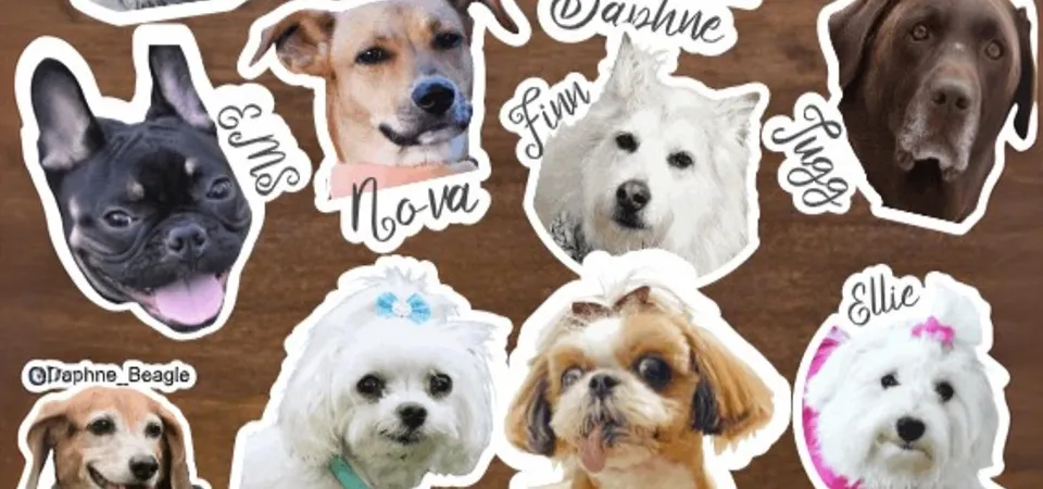 A sticker sheet featuring a mix of a realistic pet portrait, a kawaii monster, and a mythical dragon