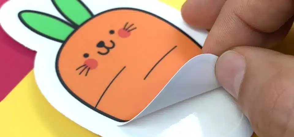 An image showing a close-up of a kiss cut sticker, highlighting the light cut line that does not go through the backing paper