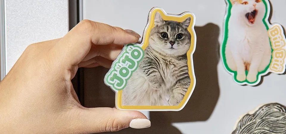 A collection of custom-cut fridge magnets showing different pets like a dog, a cat, and a parrot