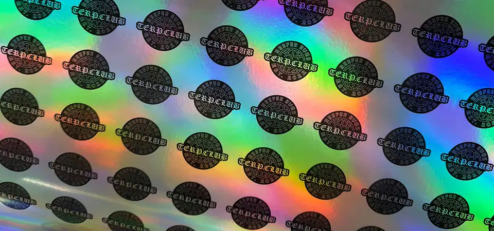 Example of a Security Hologram Sticker A security hologram sticker on a product box showing complex 2D/3D patterns and a serial number