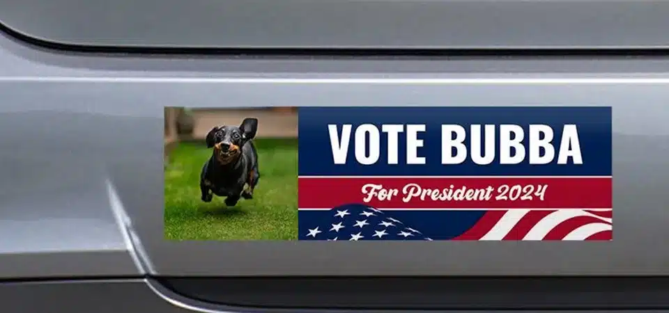 A volunteer handing out campaign stickers at a community event