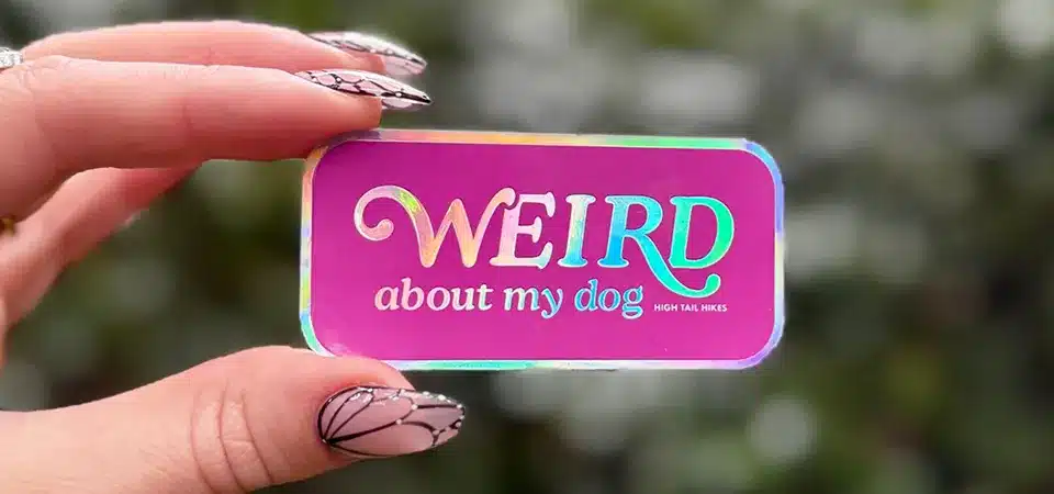 18 examples of awesome holographic stickers