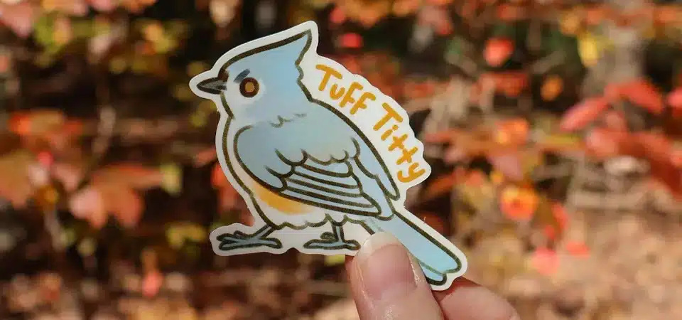 Hand cleaning a surface with alcohol wipe before sticker application